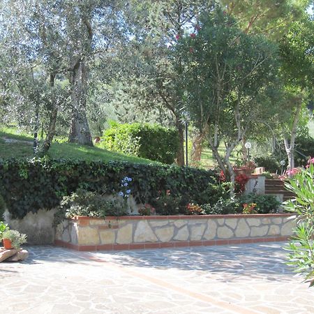 Valle Degli Ulivi Appartamento Τέρνι Εξωτερικό φωτογραφία