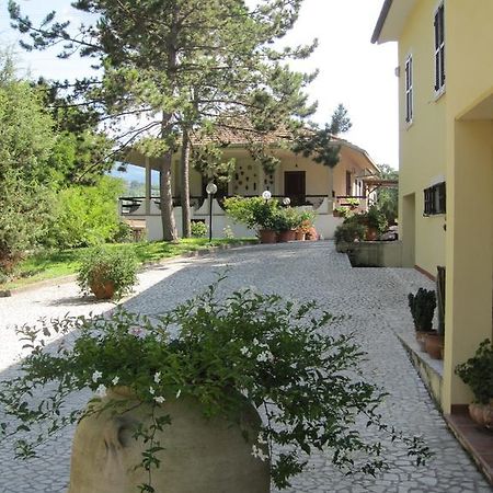 Valle Degli Ulivi Appartamento Τέρνι Εξωτερικό φωτογραφία