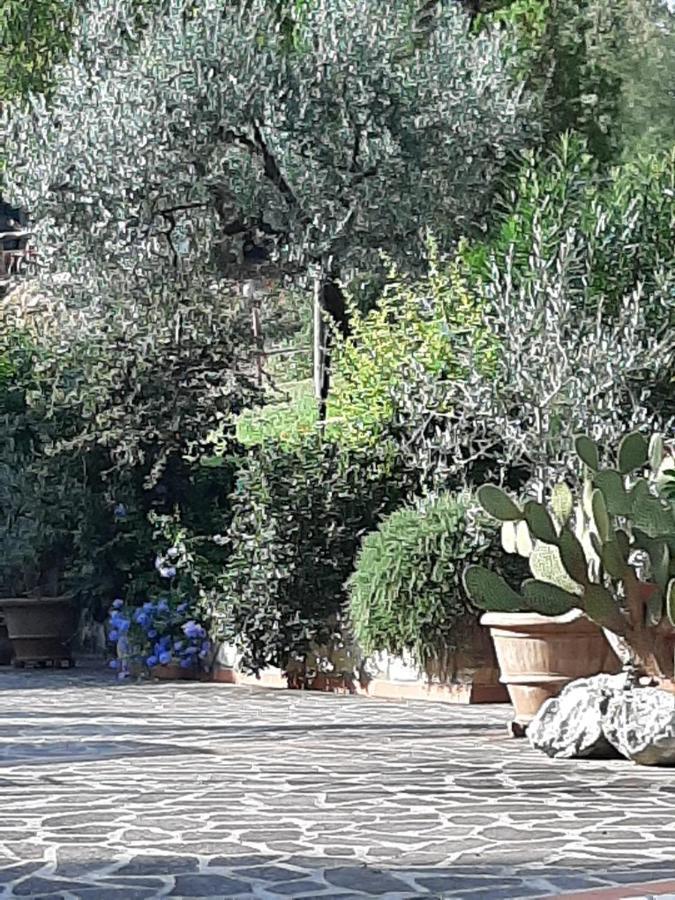 Valle Degli Ulivi Appartamento Τέρνι Εξωτερικό φωτογραφία