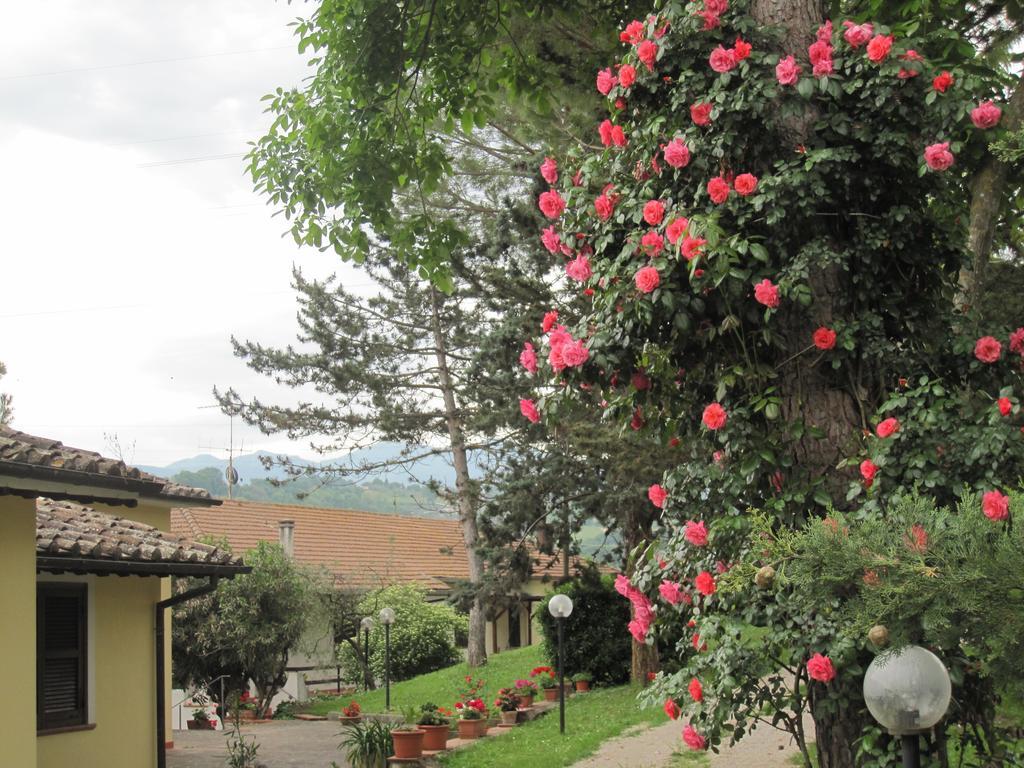 Valle Degli Ulivi Appartamento Τέρνι Εξωτερικό φωτογραφία