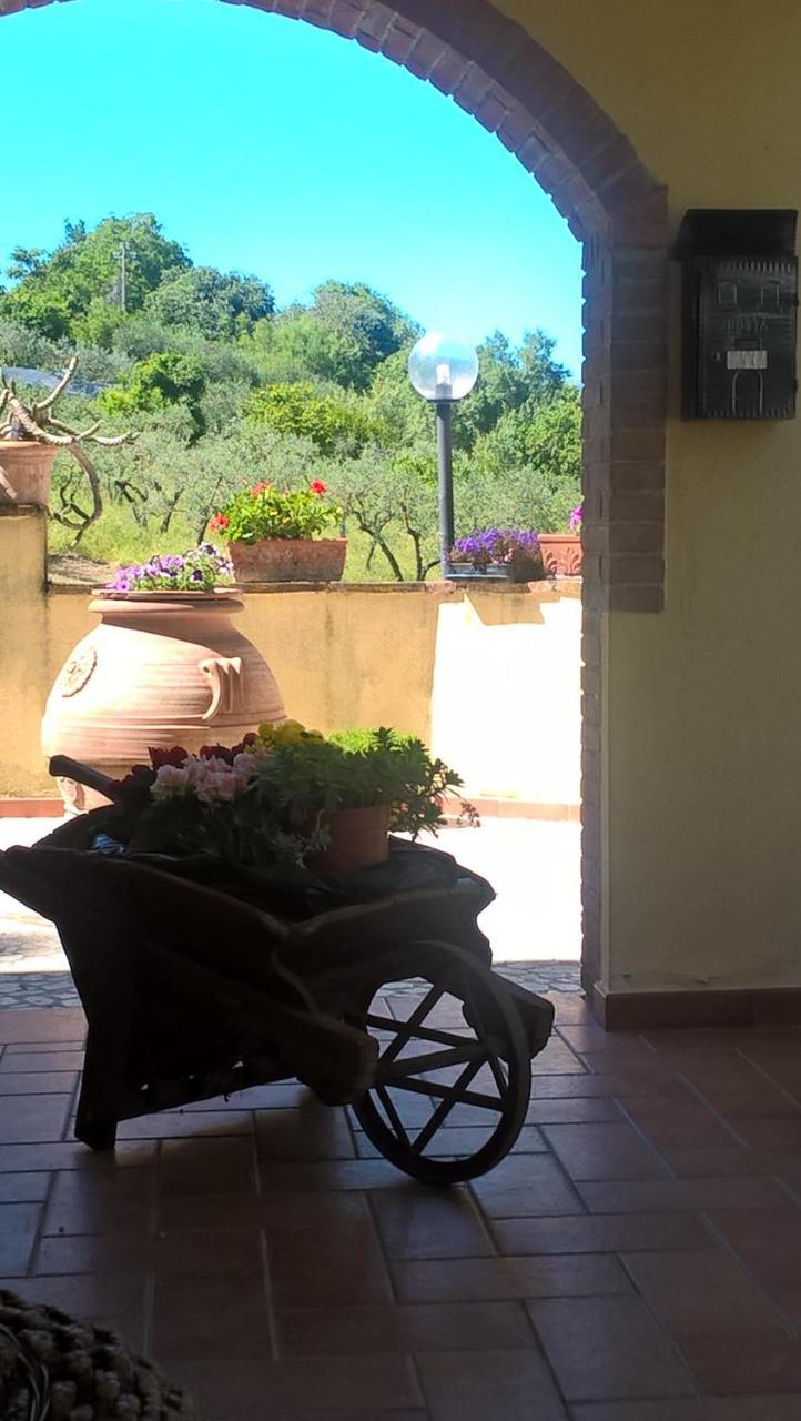 Valle Degli Ulivi Appartamento Τέρνι Εξωτερικό φωτογραφία